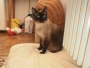 Casper9