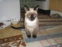 Casper