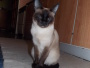 Moly