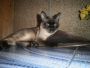 Casper8